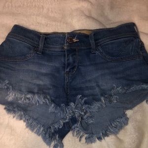 hollister shorts
